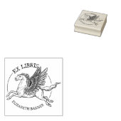 ファンタジーペガサス 馬 エクスリブリス 本   ラバースタンプ (押印)