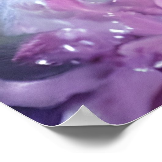 ファンタジーホワイトベビーキツネラベンダーアイズ ポスター (角)