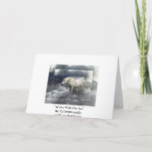 ファンタジーホワイトホース&海サンキューカード サンキューカード (裏面)