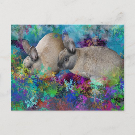 ファンタジーランドのウサギたち ポストカード (正面)