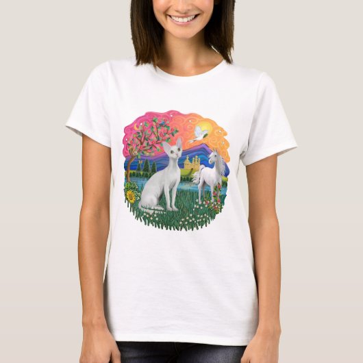 ファンタジーランド (ff) - デボン・レックス tシャツ (正面)