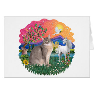 ファンタジーランド(ff) – ブルーアビシニアン猫