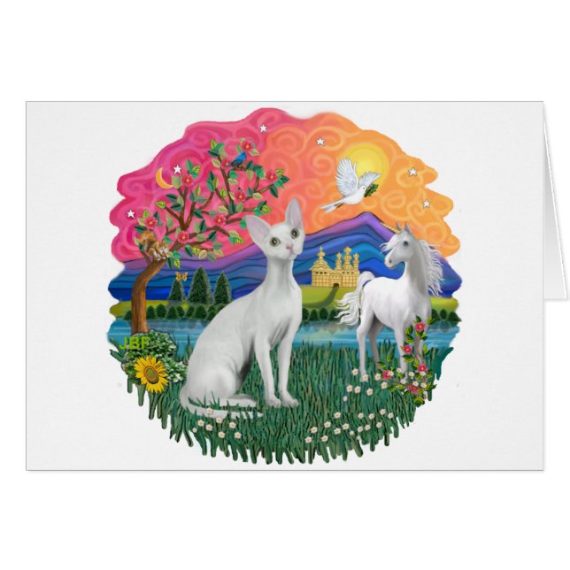 ファンタジーランド(ff) - Devonshireレックス猫 (正面横)