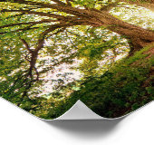 ファンタジー林ポスター ポスター (角)