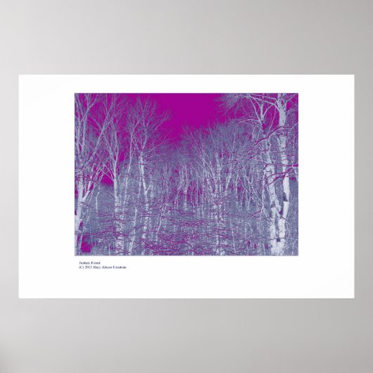 ファンタジー林 ポスター (正面)