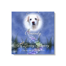 ファンタジー池ペットの写真を追加メモリアル