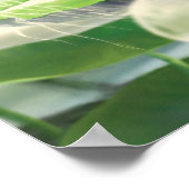 ファンタジー浮体都市と自然 – ポスター (角)