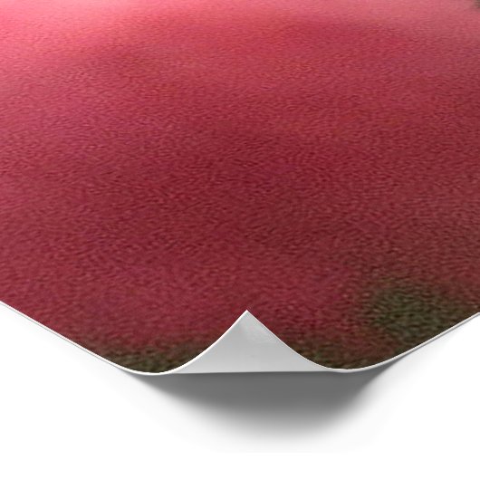 ファンタジー美しいピンクの妖精の女の子 ポスター (角)