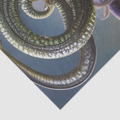 ファンタジー美しいメドゥーサ花ヘビ切り離し 薄葉紙 (詳細)