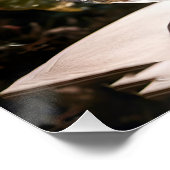 ファンタジー色鮮やかなガラス猫の花 ポスター (コーナー)