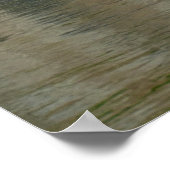 ファンタジー風変わりアングレフィッシュグラフィティ ポスター (角)