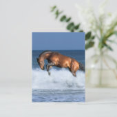 ファンタジー馬：セルフランシス&シー ポストカード (スタンド正面)