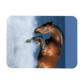 ファンタジー馬：セルフランシス&シー マグネット (横)