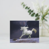ファンタジー馬:ユニコーン ポストカード (スタンド正面)