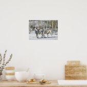 ファンタジー馬：冬のワンダーランド ポスター (キッチン)