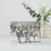 ファンタジー馬：冬のワンダーランド ポストカード (スタンド正面)