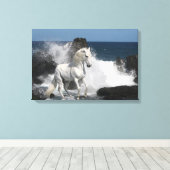 ファンタジー馬：南海 キャンバスプリント (インサイチュ (ウッドフロア))