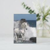 ファンタジー馬:南海 ポストカード (スタンド正面)