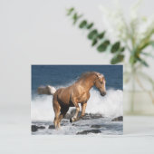 ファンタジー馬：夏のスプラッシュ ポストカード (スタンド正面)