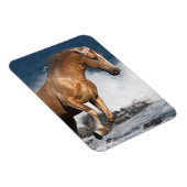 ファンタジー馬：夏のスプラッシュ マグネット (右側)