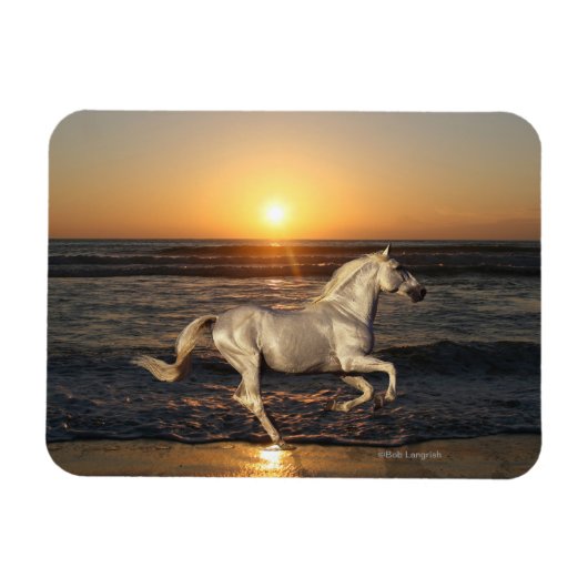 ファンタジー馬:夕日 マグネット (横)