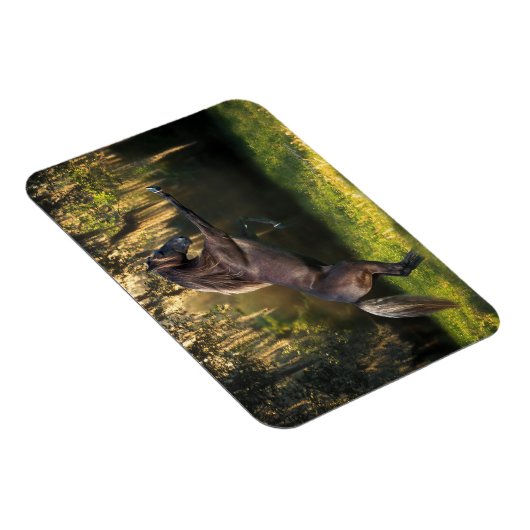 ファンタジー馬:戦士の王子 マグネット (右側)