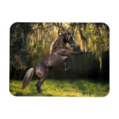 ファンタジー馬：戦士の王子 マグネット (横)