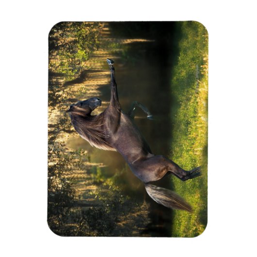 ファンタジー馬：戦士の王子 マグネット (縦)