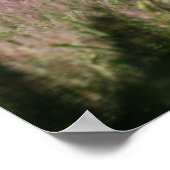 ファンタジー馬：春ギャロップ ポスター (角)