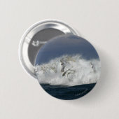 ファンタジー馬:海 缶バッジ (正面&裏面)