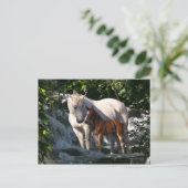 ファンタジー馬：滝 ポストカード (スタンド正面)