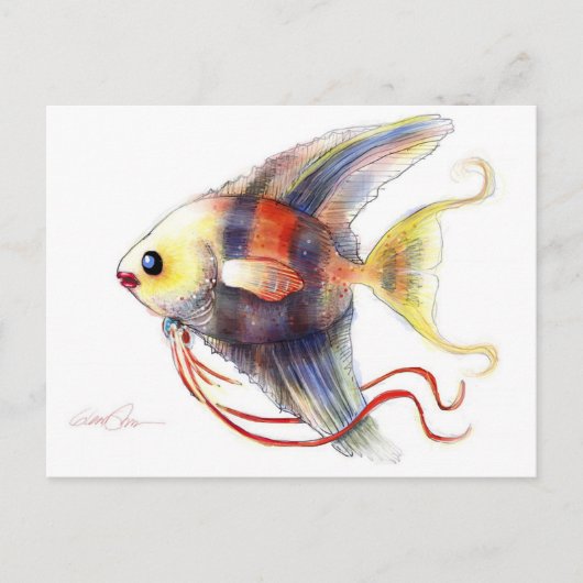 ファンタジー魚：アンジェリカ ポストカード (正面)