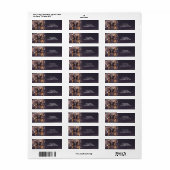 ファンタジー バタフライ ゴールド スパークル ラベル (フルシート)