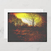 ファンタジー ポストカード (正面/裏面)