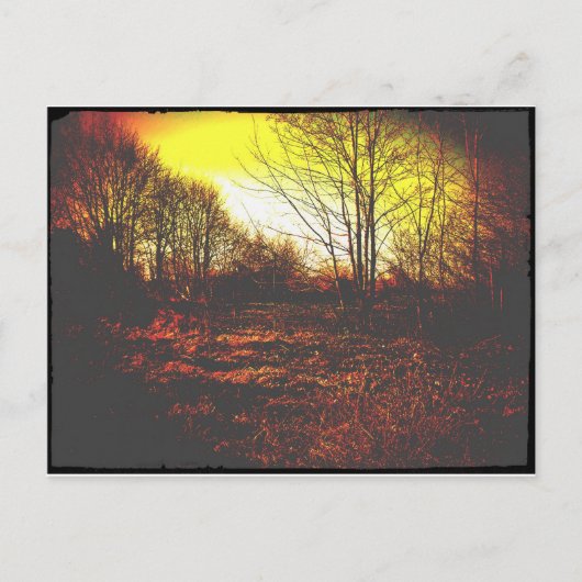 ファンタジー ポストカード (正面)