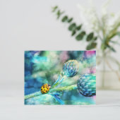 ファンタスティックなテントウムシ ポストカード (スタンド正面)