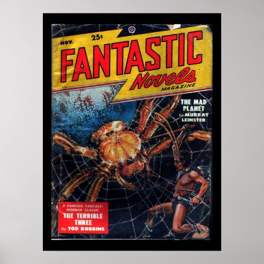 ファンタスティック小説 – 1948.114_パルプアート ポスター (正面)
