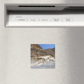 ファンタスティック・デス・バレー・マグネット! マグネット (インサイチュ (食洗機))