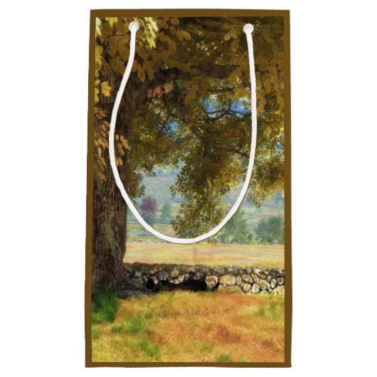 ファンテイズビーチツリー抱き枕 スモールペーパーバッグ (正面)