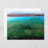 ファンテイズ:島コテージはがき ポストカード (正面/裏面)