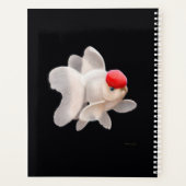 ファンテファンシーール・ゴールドフィッシュ週刊プランナー プランナー手帳 (裏面)