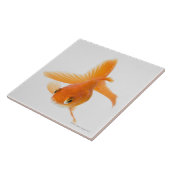 ファンテールの金魚(フナのauratus) タイル (側面)