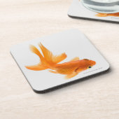 ファンテールの金魚(フナのauratus) 2 コースター (左側)