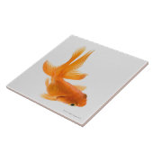 ファンテールの金魚(フナのauratus) 2 タイル (側面)