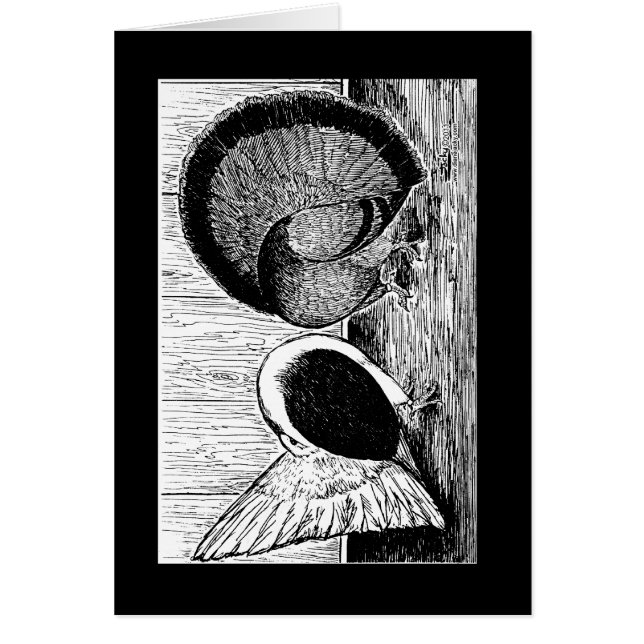 ファンテールペア (正面)