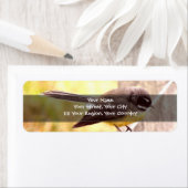 ファンテール ラベル (インサイチュ)