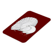 ファンテール：白 マグネット (左側)