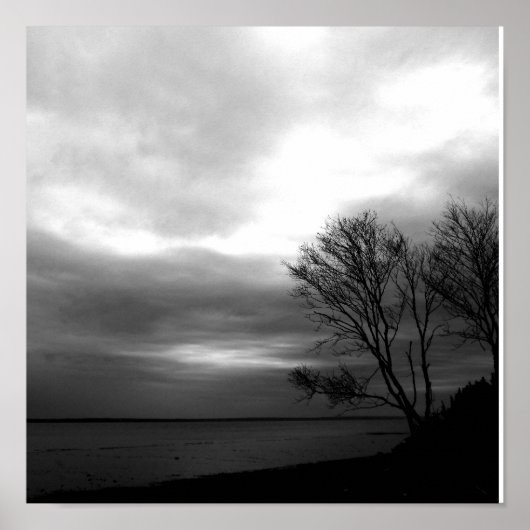 ファンディ湾 ポスター (正面)