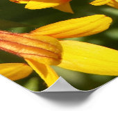 ファンファーガイラディアカスタマイズ-  ポスター (角)