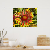 ファンファーガイラディアカスタマイズ-  ポスター (キッチン)